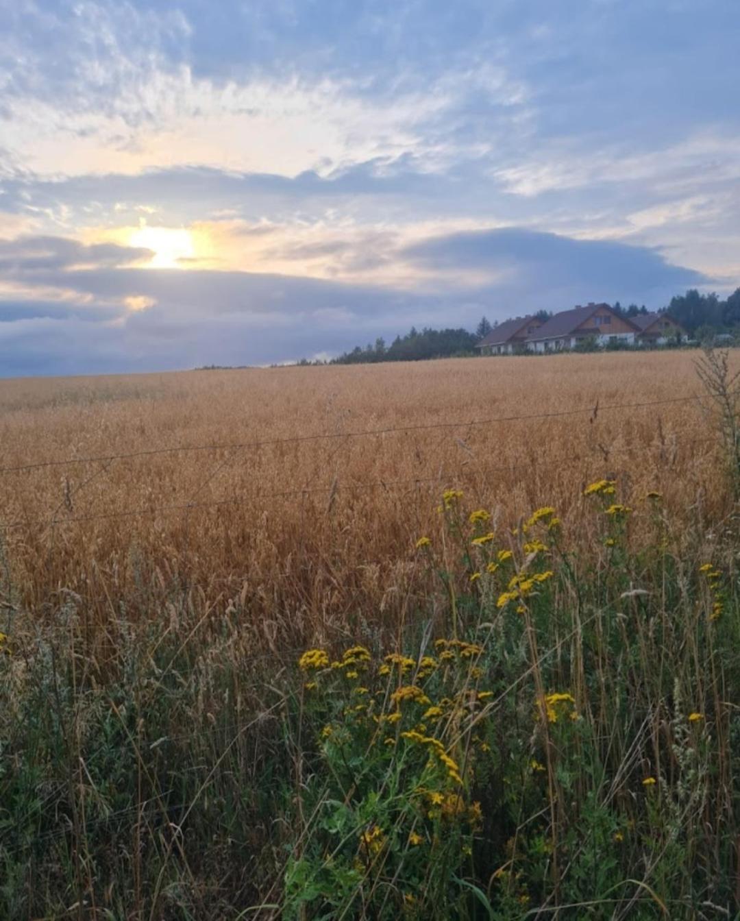 Zielony-Bursztyn Objazda-Kolonia Экстерьер фото